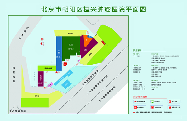 美女的骚逼被鸡巴爆草的黄色视频北京市朝阳区桓兴肿瘤医院平面图